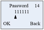 Input password menu
